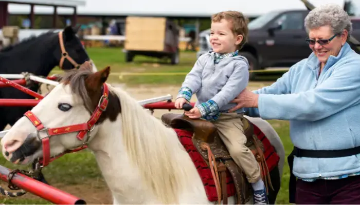 Best Apple and Pumpkin Picking Spots and Green Markets Near NYC - Alstede Farms