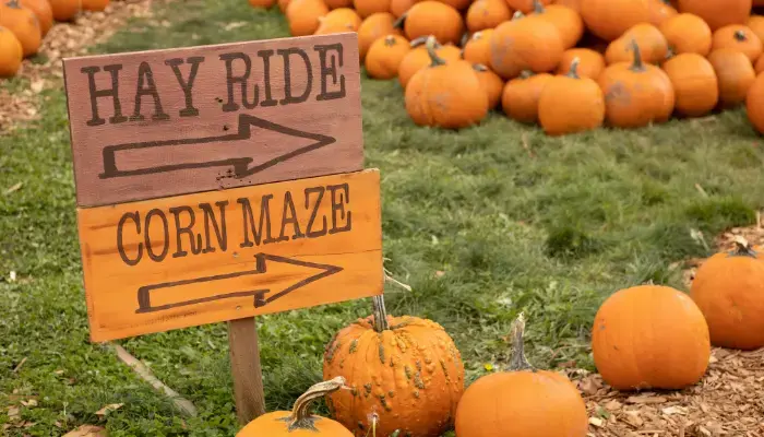 Best Apple and Pumpkin Picking Spots and Green Markets Near NYC - Outhouse Orchards