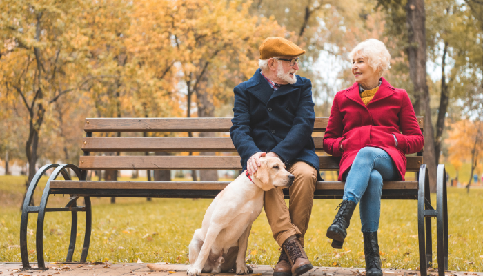 Dogs that make good companions for NYC seniors
