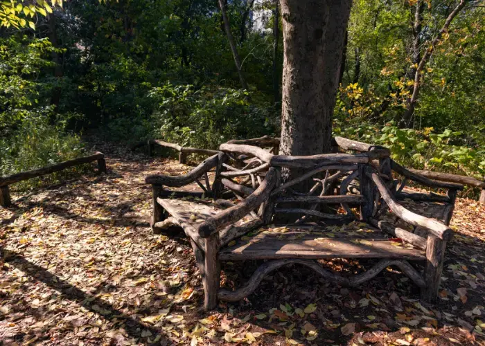 Enjoying Autumn in NYC - Manhattan Off the Beaten Path - Hallett Nature Sanctuary