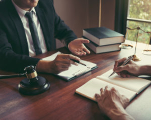 Estate Planning Tips for Seniors without Children - Seeking Professional Counsel
