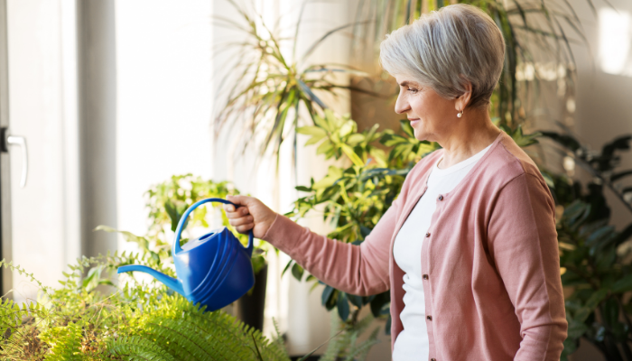 How to Create an Easy Indoor Garden for Seniors