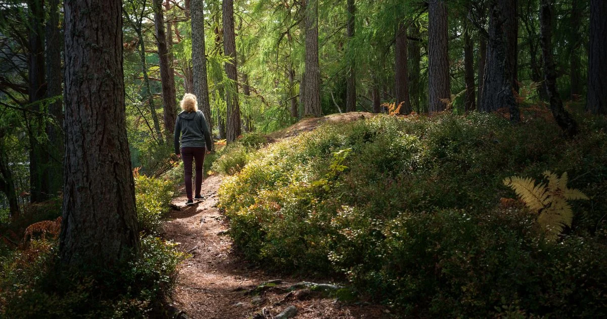 Caregiving Guide: Mindfulness Tips for Caregivers - Walking