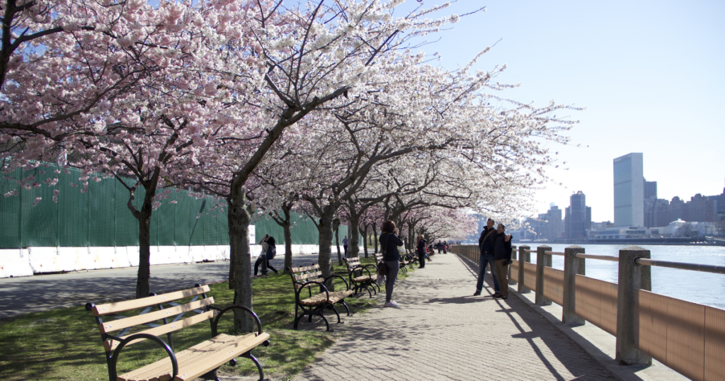 Springtime Activities in NYC Seniors Enjoy - Riverside Park