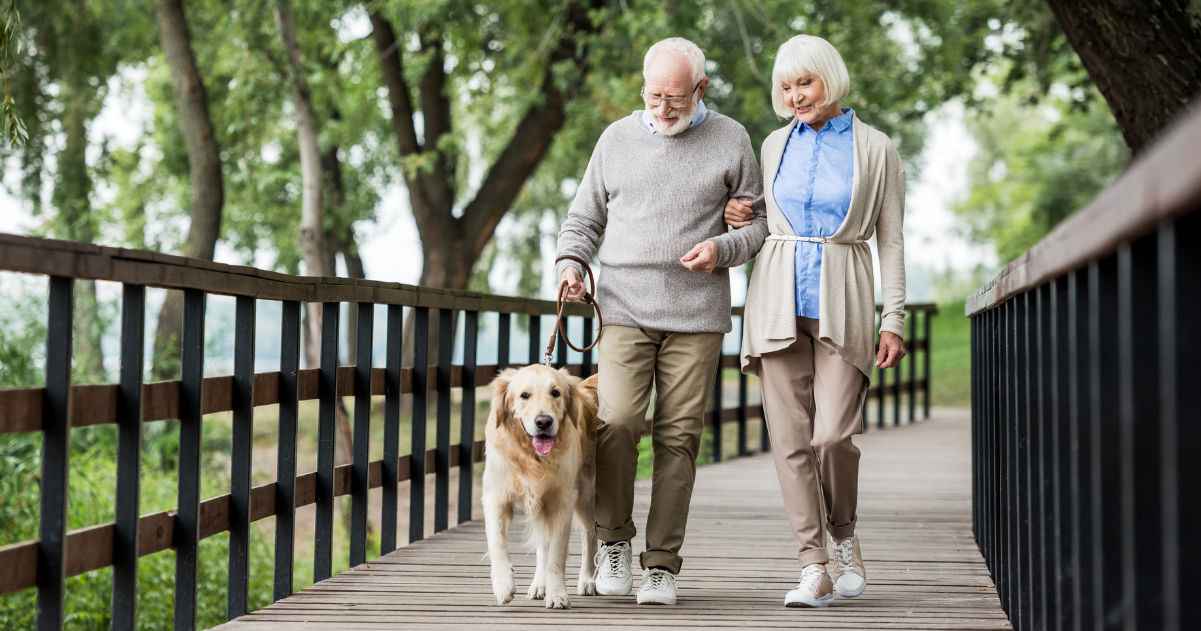 Why walking is good for senior health - the benefits of walking for aging adults