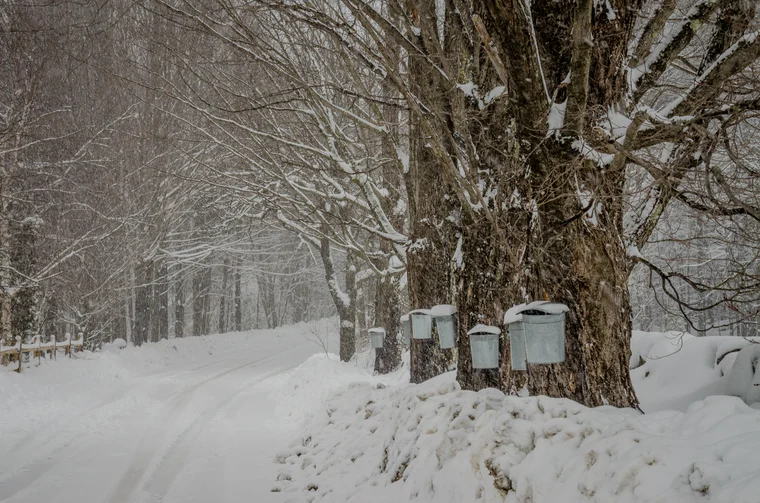 Plan a winter getaway in NYS in the Adirondacks and enjoy the fresh maple syrup