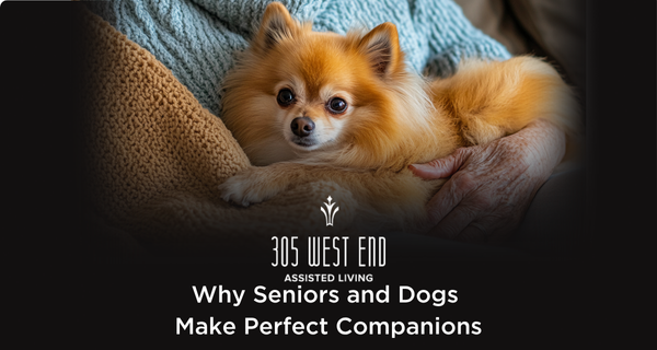 Seniors and Dogs Make the Perfect Companions, 305 West End Assisted Living Explains